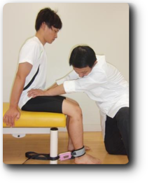 mobie_Knee_Ext - mobie Project